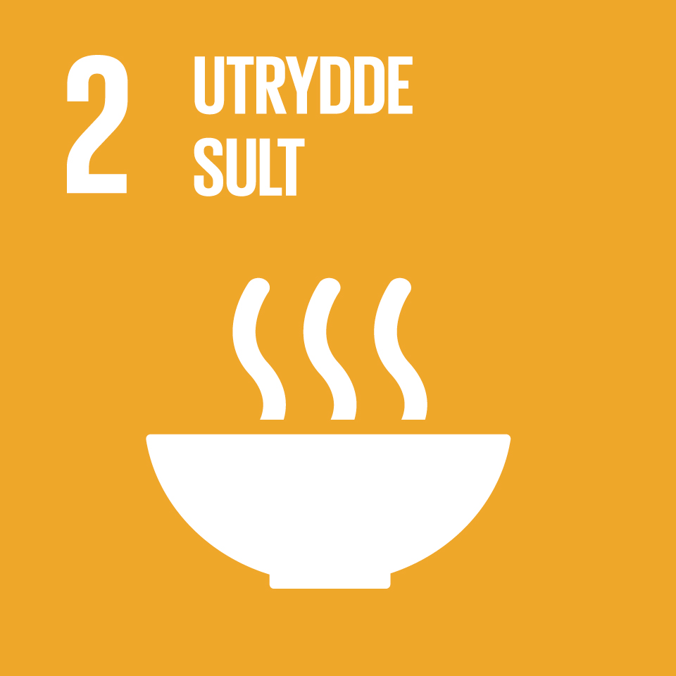 FNs bærekraftsmål  2