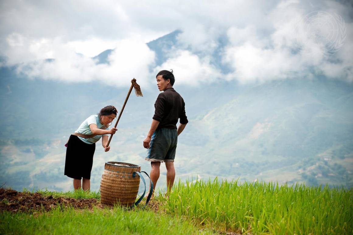 Bønder i et fjellområde i Sapa, Vietnam. Foto: UNPHOTO/Kibae Park