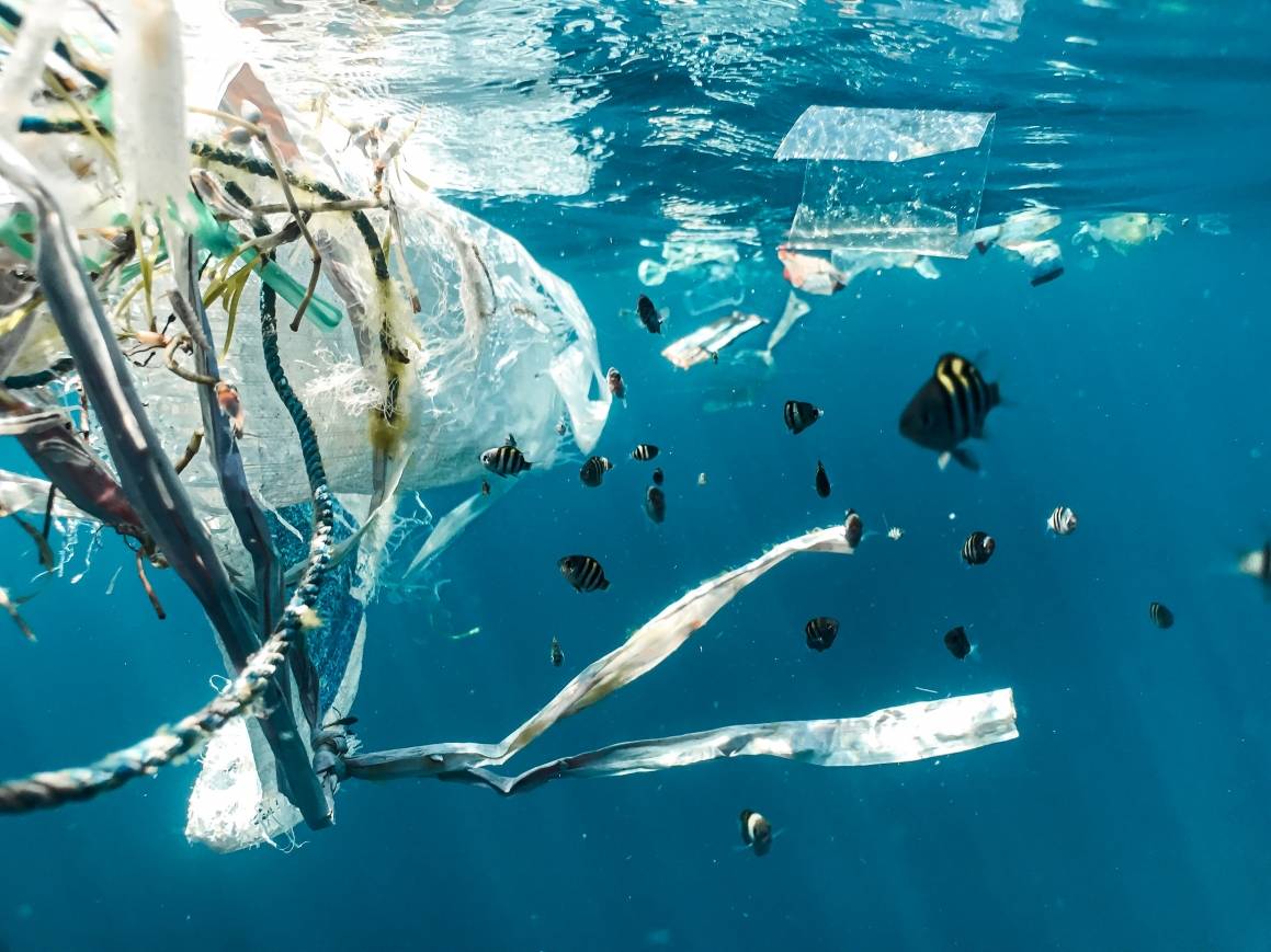 Bildet er tatt rett under havets overflate og viser fisker som svømmer blant store mengder plast og annet avfall.